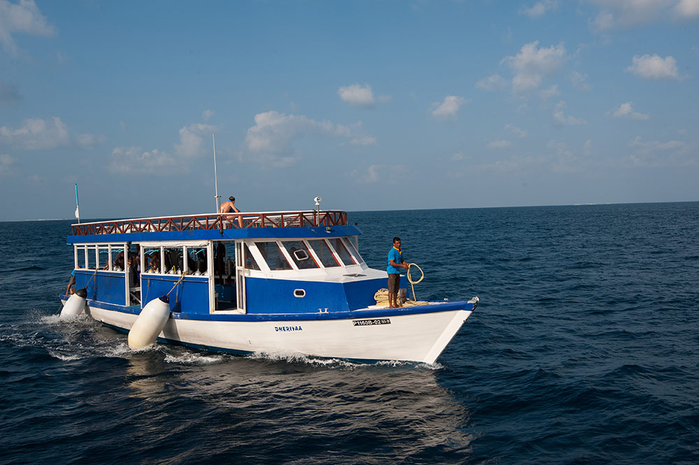 Malediven Tauchreisen Nautilus 1 Nautilus 2